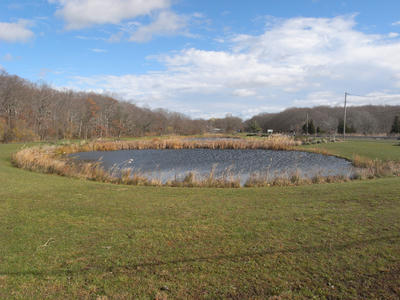 05.jpg