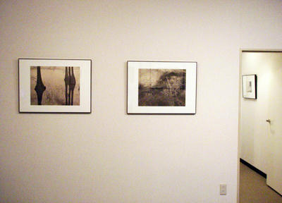 P9090083.JPG