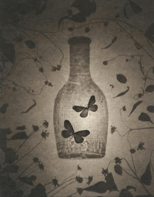 two_butterflies_small.jpg