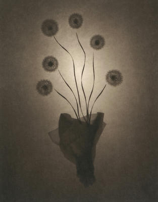 six_flowers_small.jpg