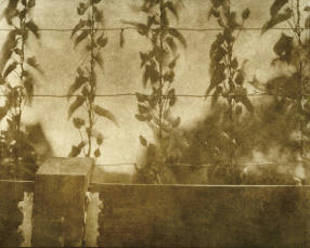 koichiro_photo.jpg
