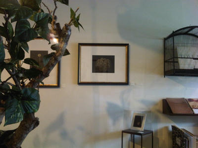 IMG00305-20110610-1355.jpg
