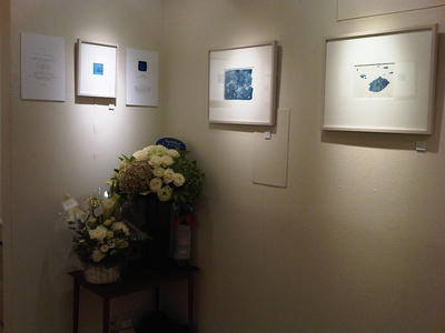 gallery2.jpg