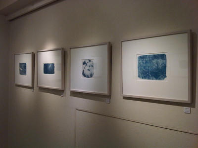 gallery4.jpg