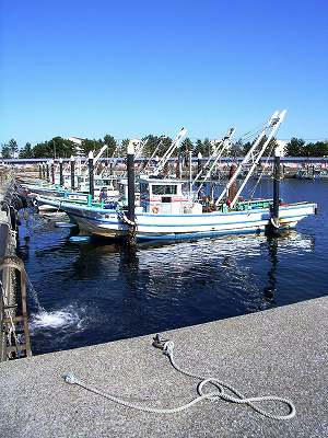 el puerto de shiba