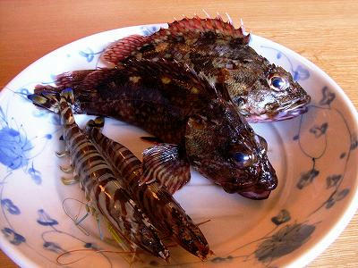 kasagos y langostinos