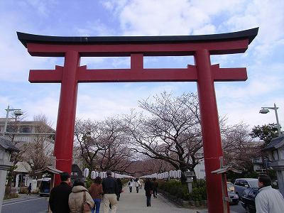 el camino de acceso a hachimangu sin flores