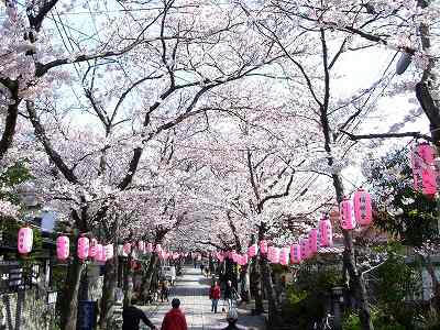 caminito a shomyoji
