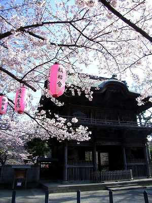 puerta niomon de shomyoji