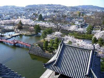 vista panoramica desde el torreon del castillo de matsumoto