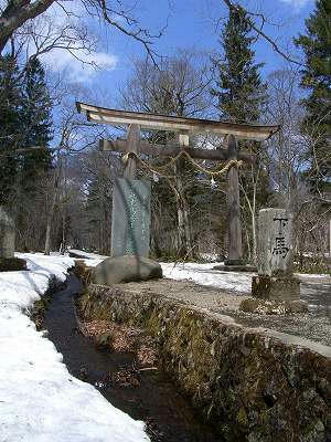puerta de torii de okusha