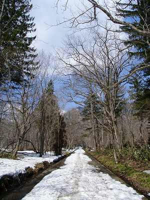 camino de acceso al okusha