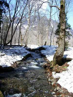arroyo en el bosque de okusha
