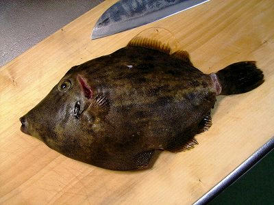 pesca kawahagi