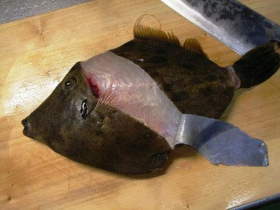 pesca kawahagi desollando