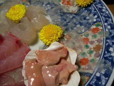 sashimi de kawahagi y hiramasa