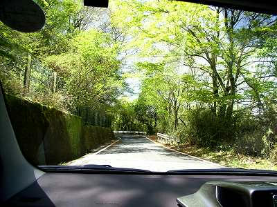 tunel verde cerca del monte fuji