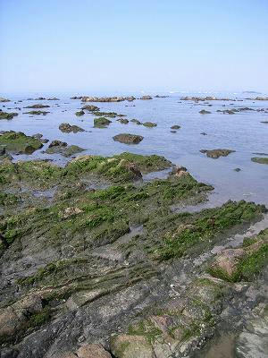 costa rocosa de morito de hayama