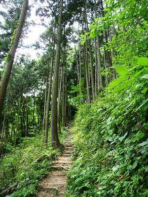caaminito a la cima del monte kinsho