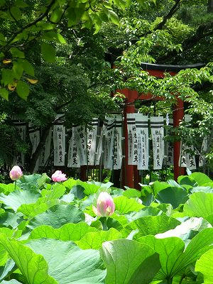 镰仓鹤冈八幡宫,源氏池、辩财岛