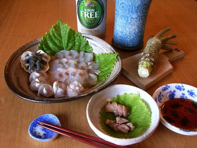 薄造牛尾鱼