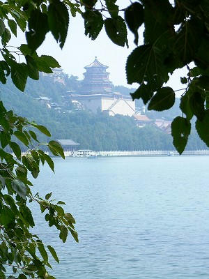 西堤古桑与万寿山佛香阁