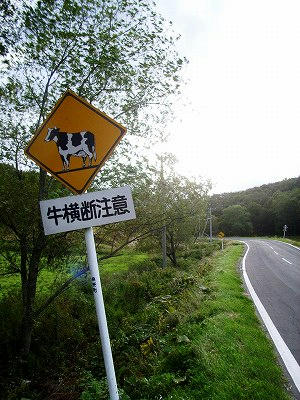 “牛横断注意”