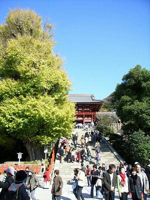 鹤冈八幡宫 本宫