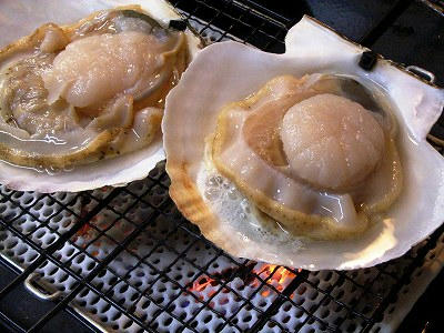 烤起扇贝来