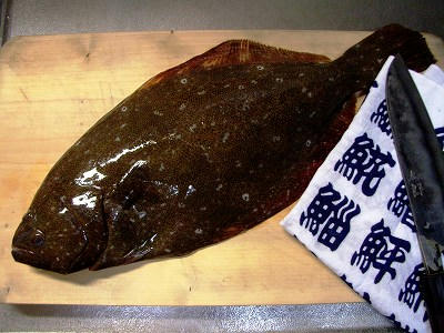 鲆