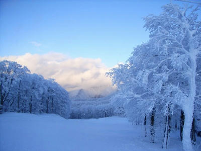 藏王高鸟滑雪场