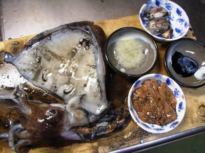 金乌贼