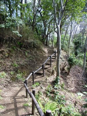 称名寺后山散步道