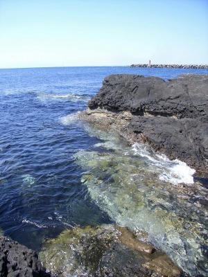 城岛海岸