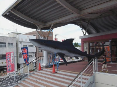 大鲨鱼像