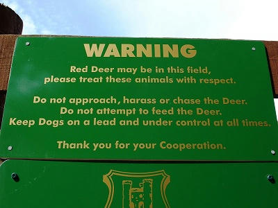 关于红鹿的警告牌
