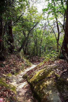 金泽古道，能见堂附近