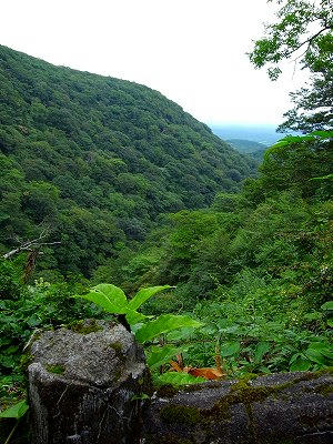 北温泉附近