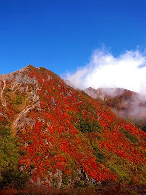 那须山朝日岳红叶