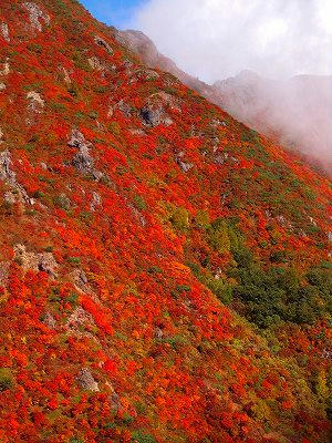 那须山朝日岳红叶