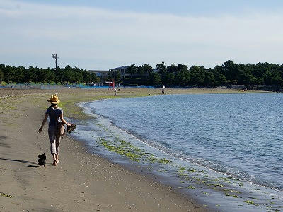 横滨金泽海之公园