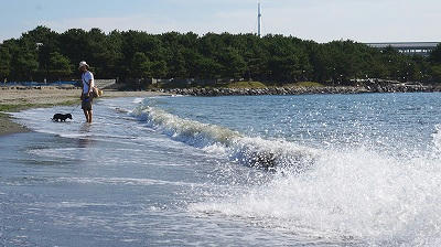 横滨金泽海公园沙滩