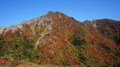 那须山红叶