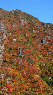 那须山红叶