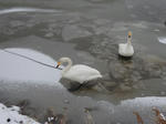 DSCN0313.jpg