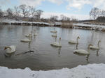 DSCN0332.jpg