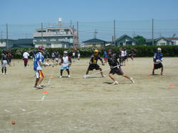DSC01850.JPG