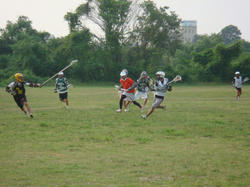 DSC01906.JPG