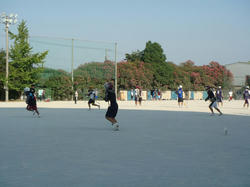 DSC02067.JPG