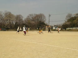 100404_110407.jpg